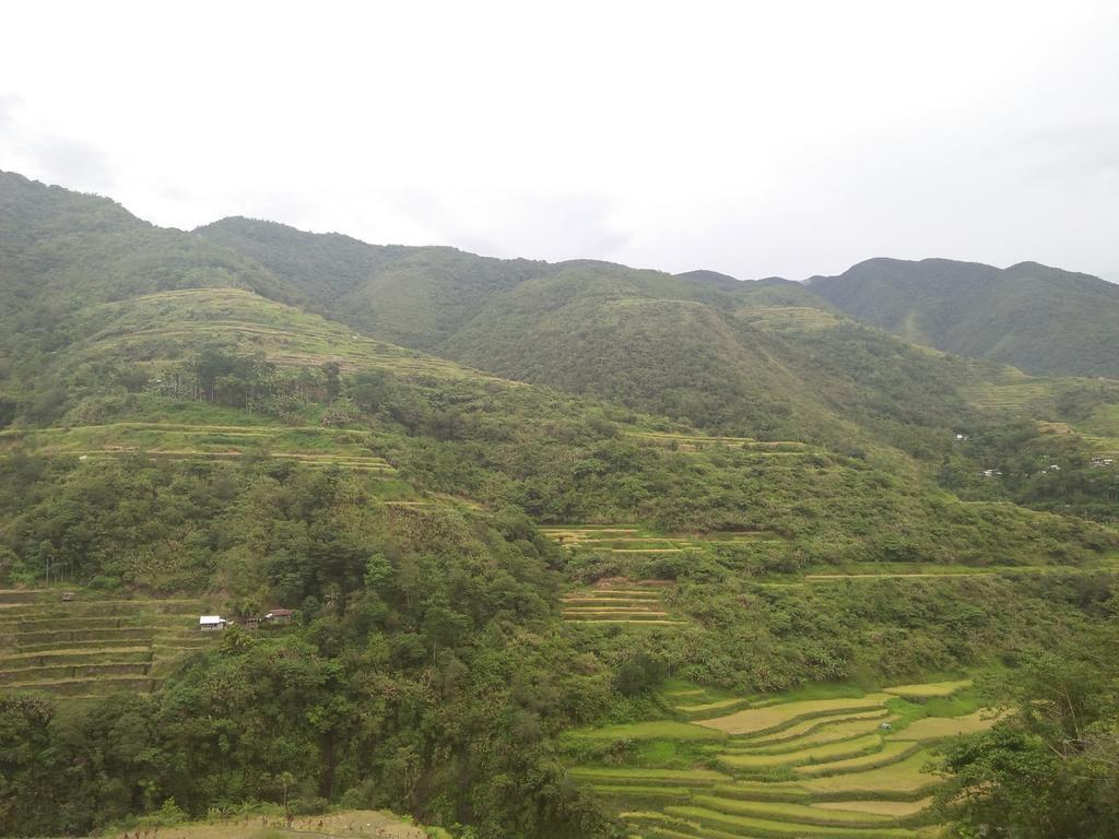 Banaue Sunrise Guest House Bagian luar foto